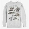 Best reviews of 🔥 Star Wars Creatures Crew Sweatshirt ⌛ -Star Wars Clothing Sales 15588964 hi